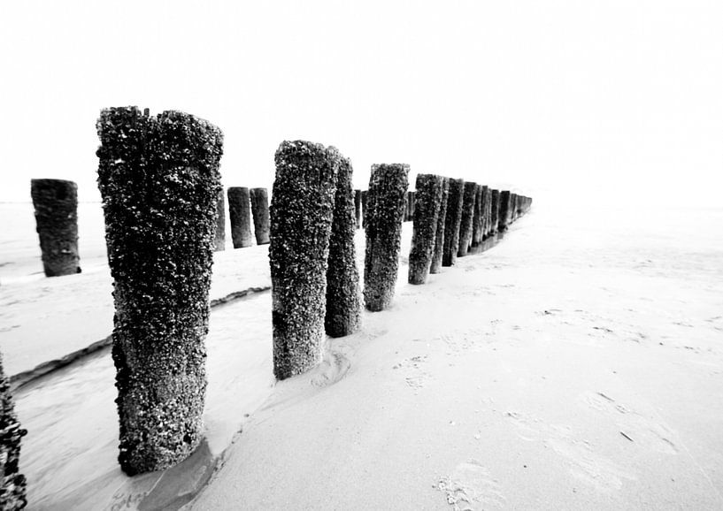 palen op het strand von Berend-Jan Bel