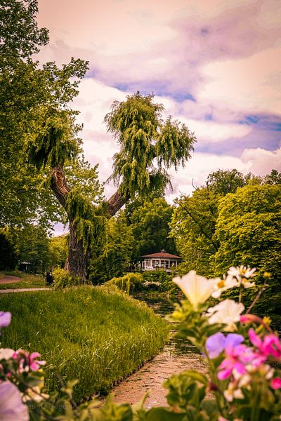 Vue de Bird Island Deventer par Maurits Hagen