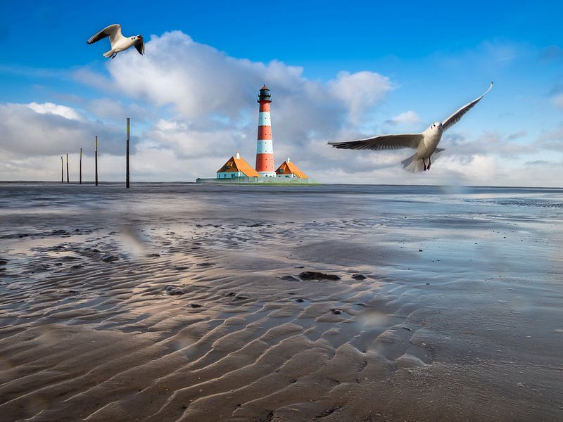 Wattenmeer am Westerheversand Leuchtturm an der Nordsee von Animaflora PicsStock