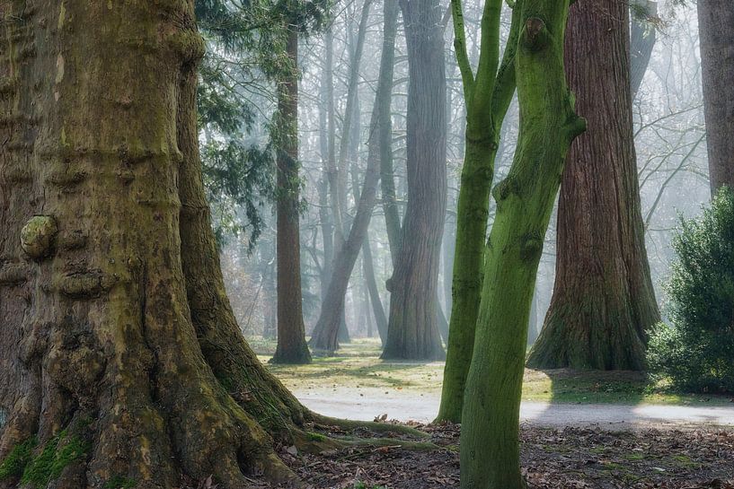 Gargantua par Ellen Borggreve