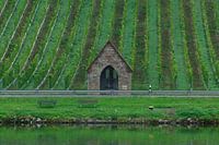 wjnranken mit Hütte