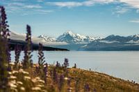 Vue sur le mont Cook
