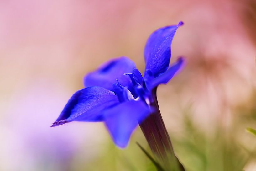 . von LHJB Photography