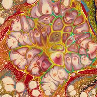 Structure cellulaire abstraite