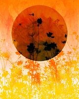 Sunlight over Africa