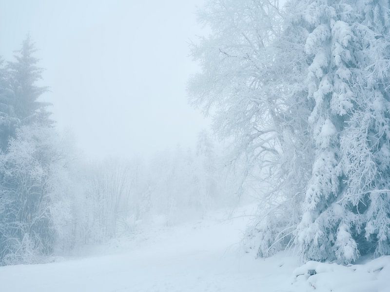 Wasserkuppe im Winter (Rhön) von Max Schiefele
