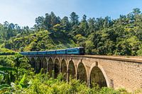 Zug über die Nine Arch Bridge in Sri Lanka, Südasien