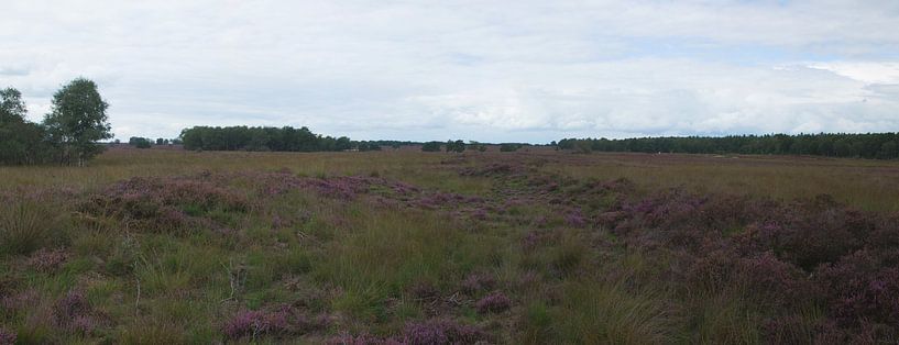 Ein Panorama der Ermelo-Moorlandschaft von Gerard de Zwaan