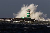 Golf over de vuurtoren van de zuidpier van IJmuiden
