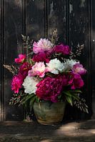 Pfingstrosen pflücken