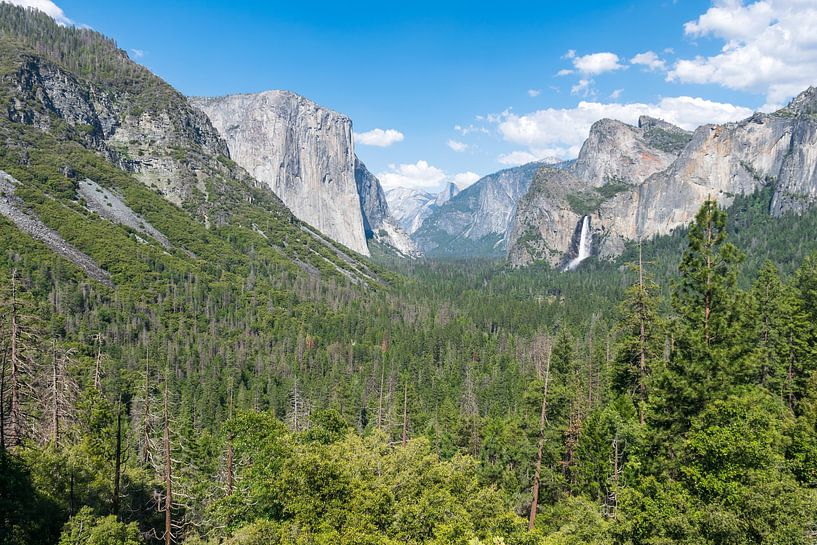 Der schönste Blick auf den Yosemite National Park in Amerika von Linda Schouw
