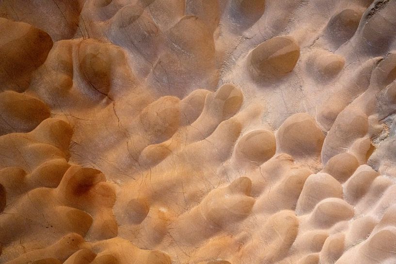 Grotmammatus von Aart Prikker