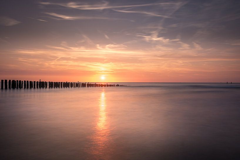 Breit von Bas Holtrop