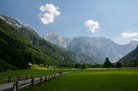 Red car drives down the road through the Logar Valley, Slovenia