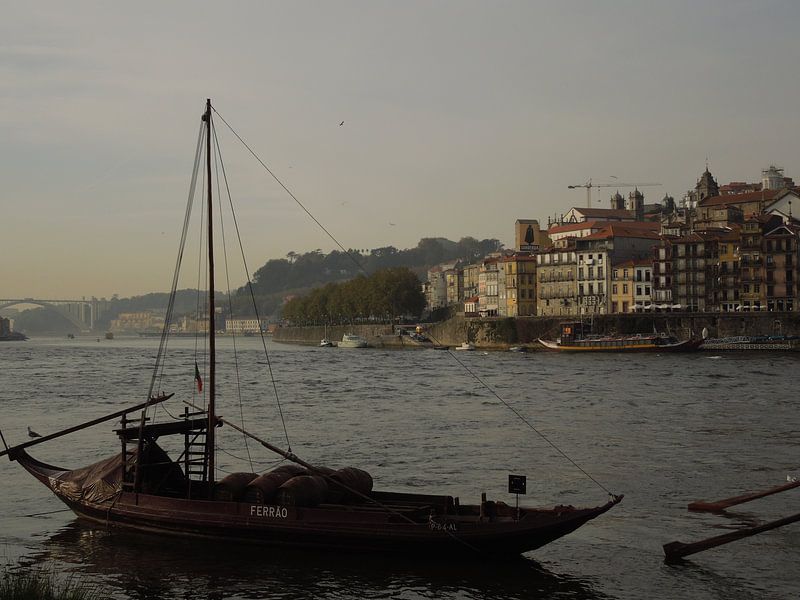 Prachtig Porto Portugal  par Lin McQueen