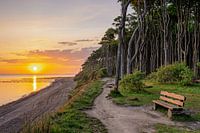 Nienhagen Forêt des fantômes