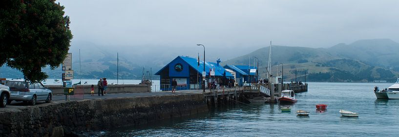 Neuseeland von Pim Michels