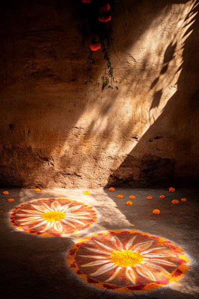 Licht und Blumen von Poster Art Shop