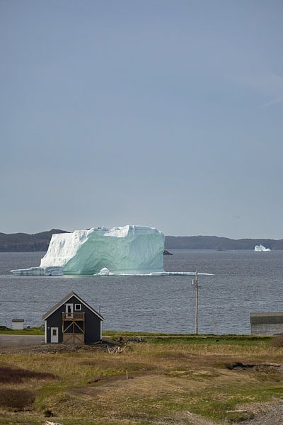 Iceberg au large de Twillingate (Terre-Neuve) par Menno Schaefer