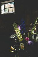 Blumen im Sonnenlicht