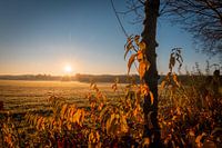Sonnenaufgang Drunen Polder