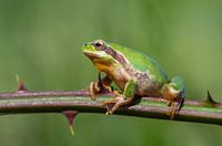 Durf om te overleven