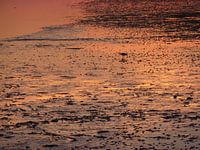 Zonsondergang op het Wad