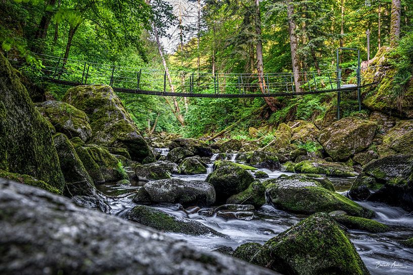 Hängebrücke in der Buchberger Leite von Berthold Ambros