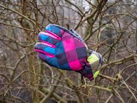 Der nächste Winter kommt bestimmt