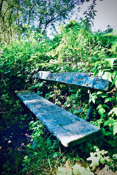 Banc dans la forêt de La Haye par Jan Radstake