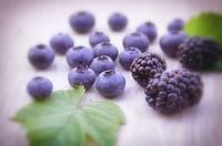 Frische Waldbeeren auf dem Tisch