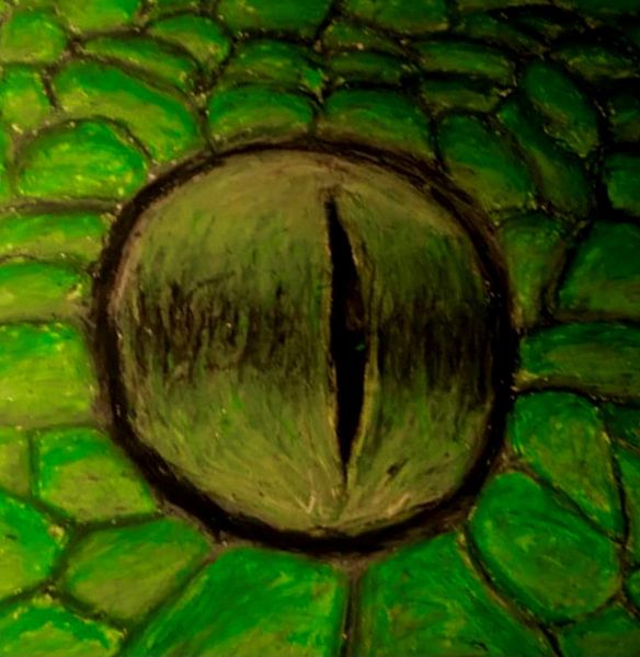 Œil de serpent dessiné au crayon par Auke de Kok
