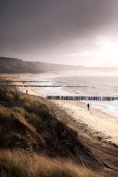 Windy Days par Thom Brouwer
