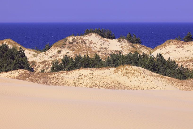 Dune mobile de la mer Baltique Pologne par Patrick Lohmüller