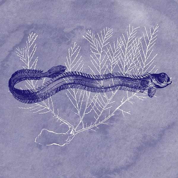 Poisson bleu de Delft par Jadzia Klimkiewicz