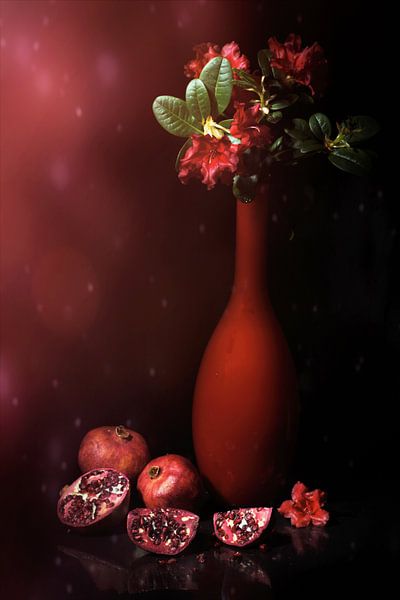 Nature morte avec vase rouge, rhododendron rouge et pommes grenade. par Saskia Dingemans Awarded Photographer