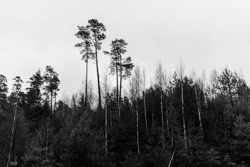 Swedish natural beauty by Smollie Travel Photography