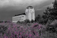 Heath, threatening skies and Radio Kootwijk
