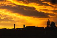 Evening glow over the farm