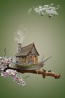 The Snail house