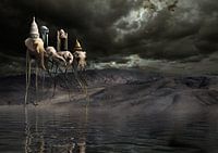 waterfront elephants