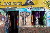 Kap Verde, die Insel Sal mit ihren frischen Farben.