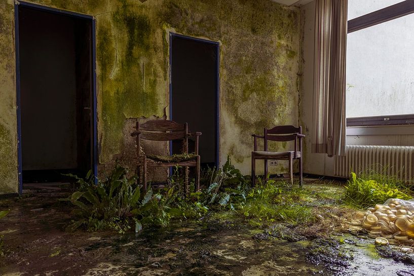 Chair of acquisition nature. by Het Onbekende