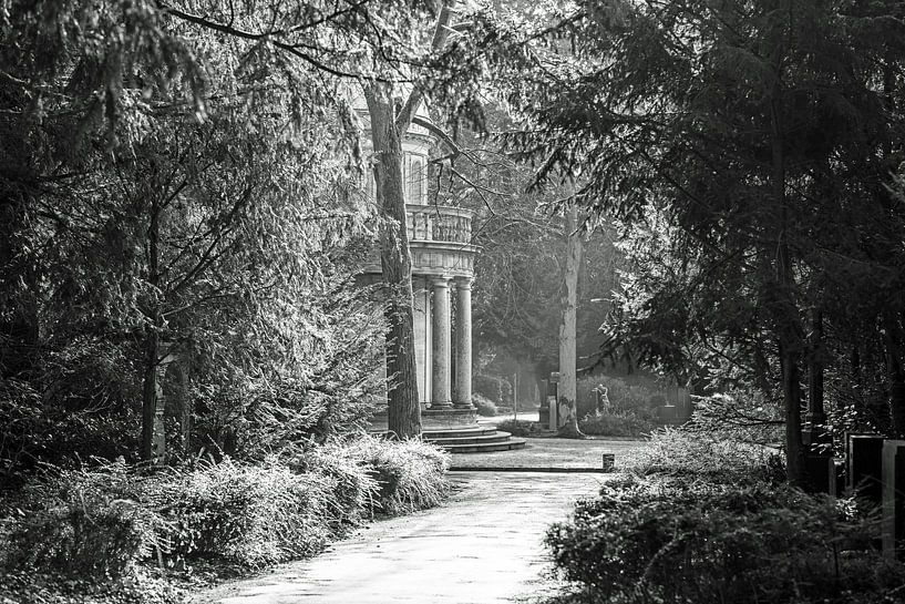 Promenade en forêt monochrome par Thomas Riess
