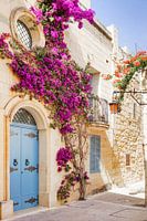 Straßenbild mit Blumen in Malta