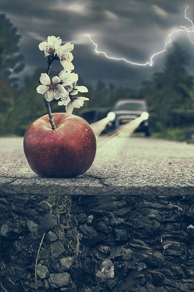 Manipulation d'images intrigante : Des fleurs de pommier à travers l'asphalte - Résilience et puissance naturelle dans l'art par Elianne van Turennout