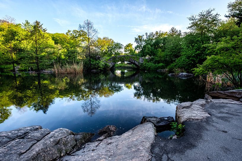 Central Park New York City par Eddy Westdijk