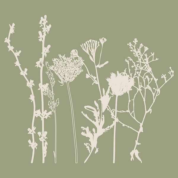 Meadow Botanical Art in Salbei Grün und Beige Nr. 3 von Dina Dankers