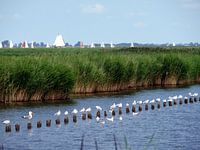 Samen genieten van het zonnetje