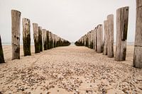 Golfbrekers en schelpen